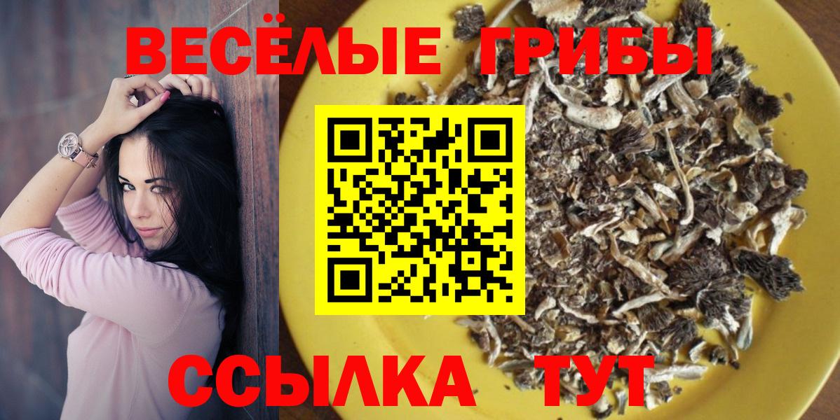 Полевской  Псилоцибиновые грибы GOLDEN TEACHER  Псилоцибиновые грибы прущие грибы  Вход с VPN 