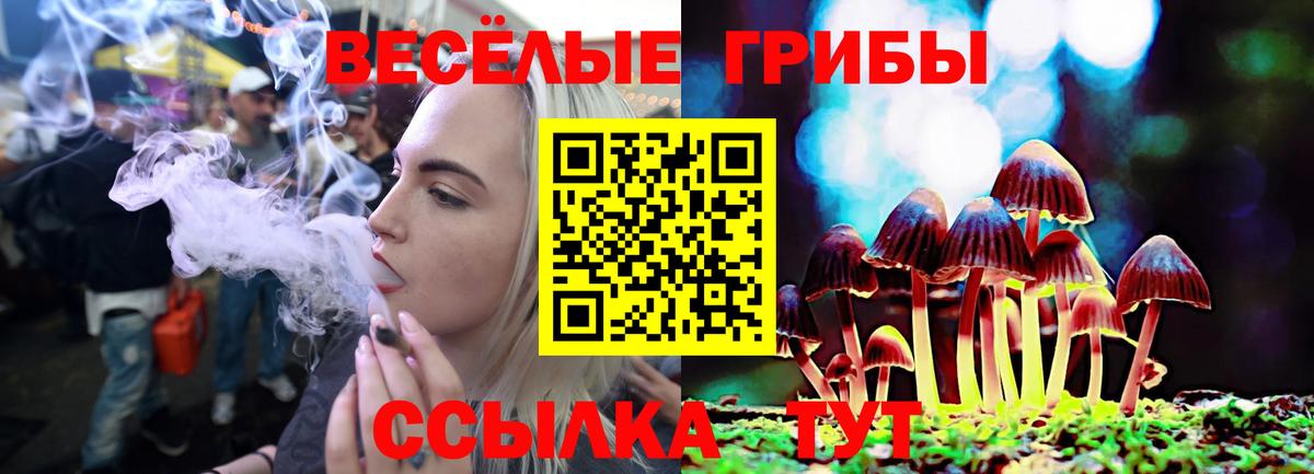 Галлюциногенные грибы MAGIC MUSHROOMS Полевской